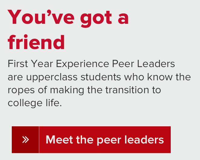 First Year Experience Peer Leaders are upperclass students who know the ropes of making the transition to college life. You'll meet yours at Orientation.